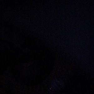 Meet your Posher, Lucero